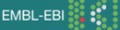 Ebi logo.jpg